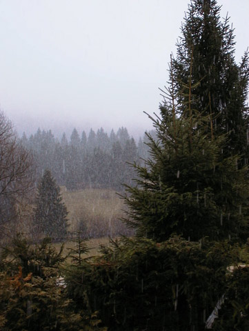 pluie de neige jura.jpg